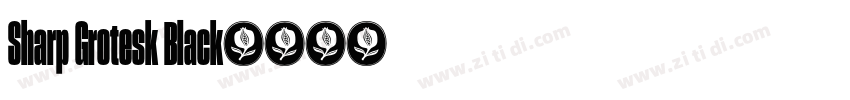 Sharp Grotesk Black字体转换